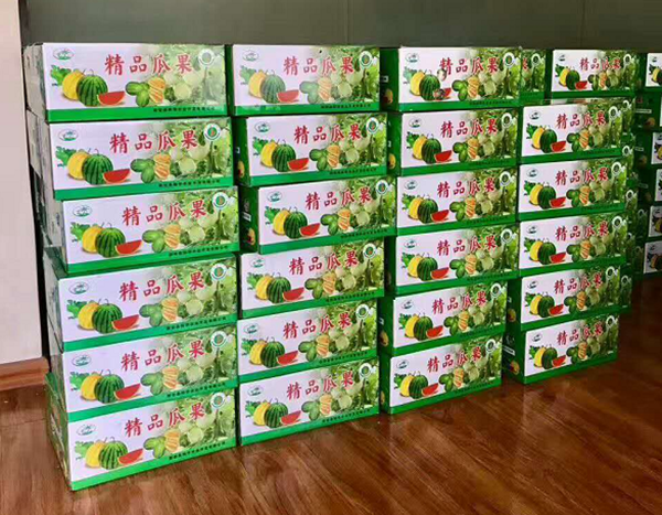 河南禮品香甜瓜上市啦！優(yōu)質(zhì)甜瓜苗創(chuàng)造高收益