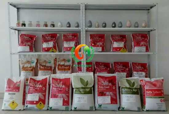 甜椒碩果累累，少不了海法保瑞豐
